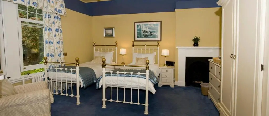 Deluxe Double room (twin beds)