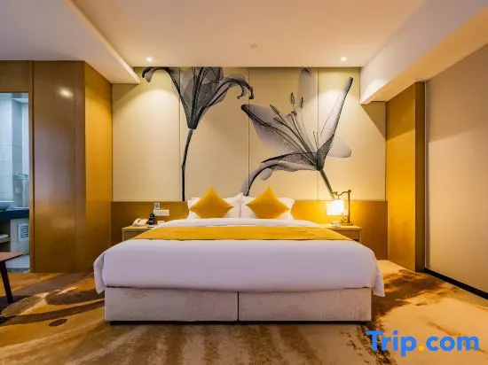 Xian Peace Arch Hotel - Chambres