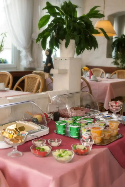 Hotel Zum Ritter - Général