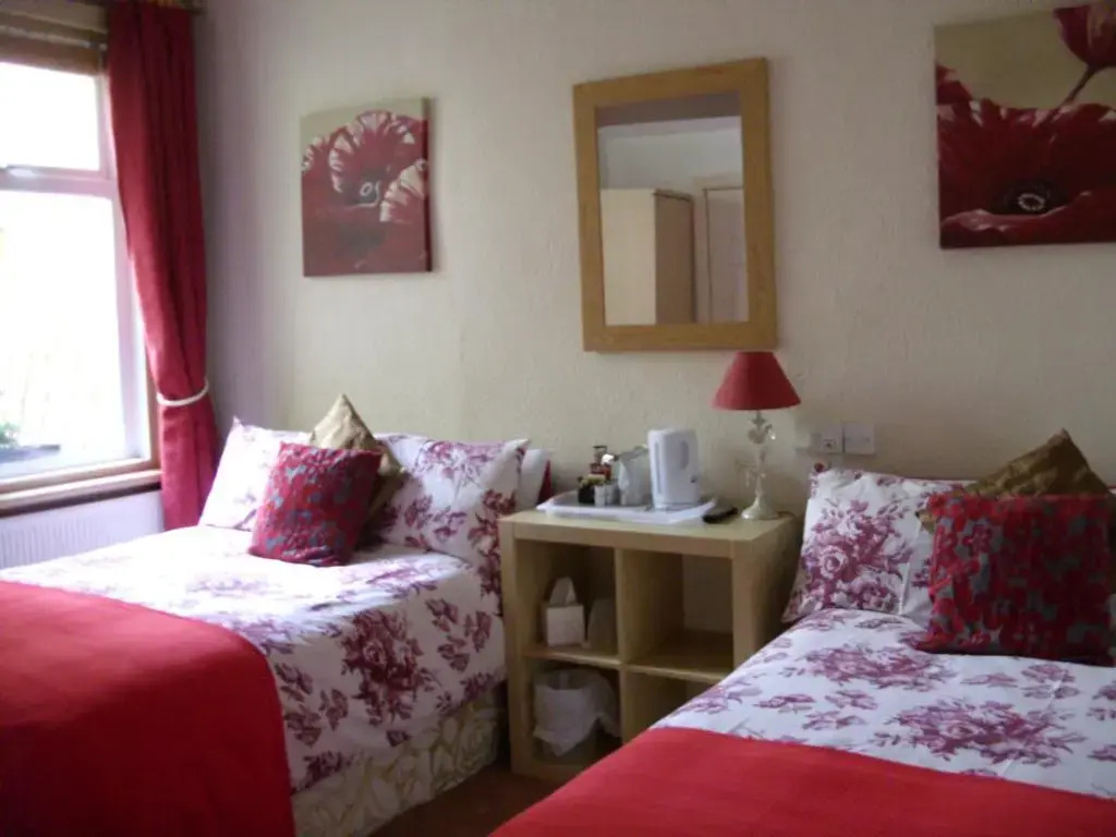 Standard Double room (twin beds)