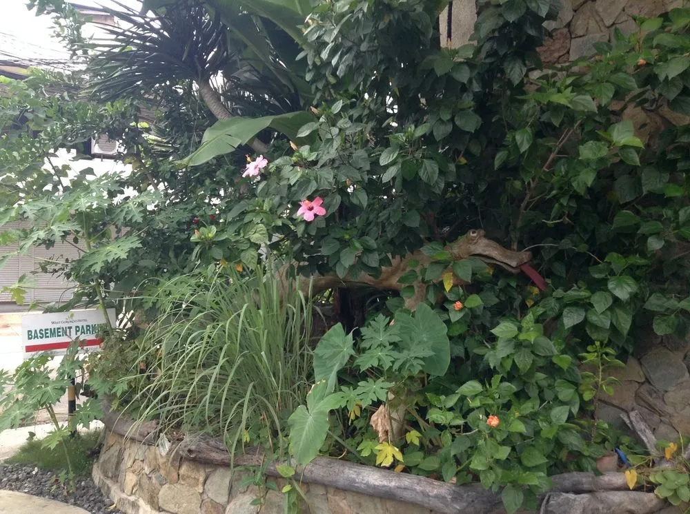 Hotel photo 37