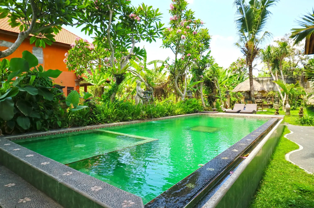 Ubud Kerta City Hotel - Général