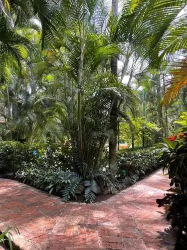 Hotel photo 38