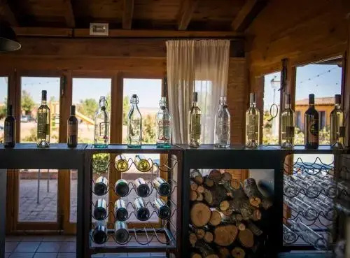 Balcony & Terrace