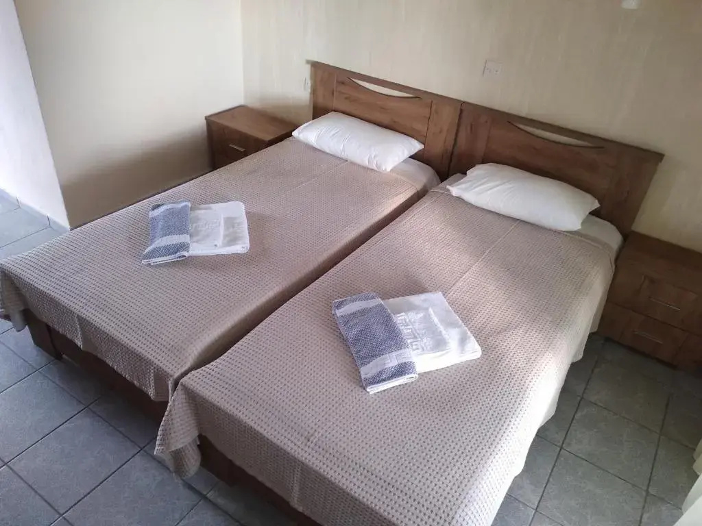 Standard Double room (twin beds)