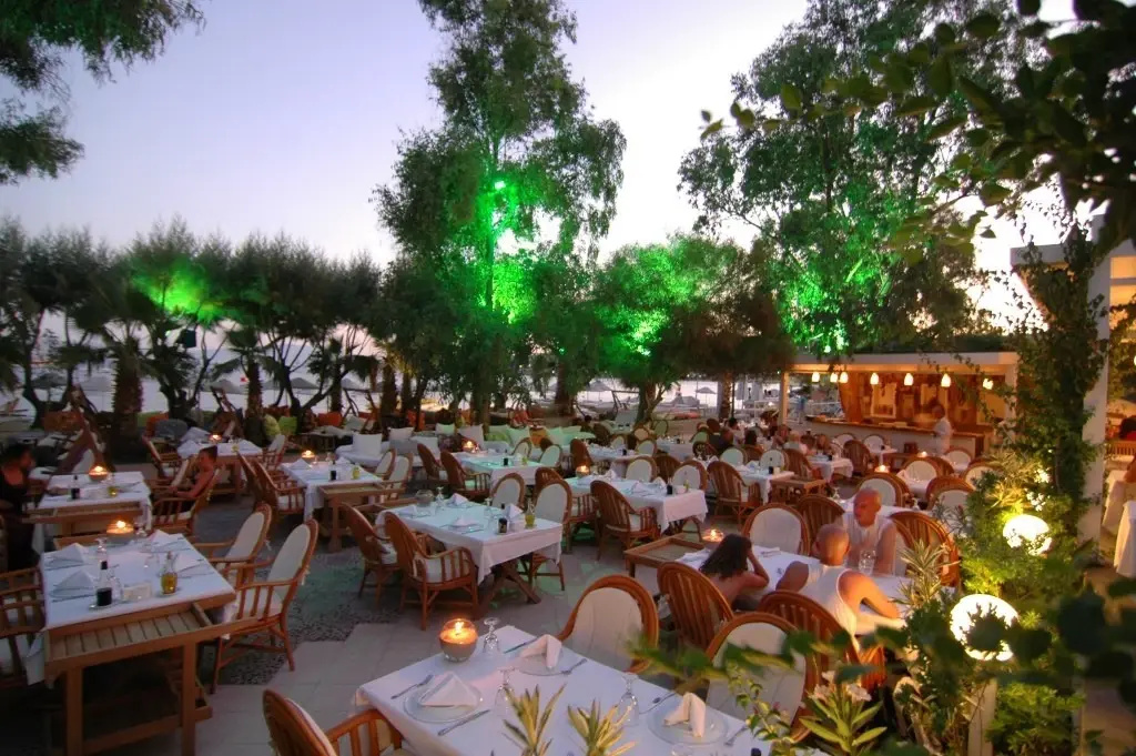 Okaliptus Hotel - Général