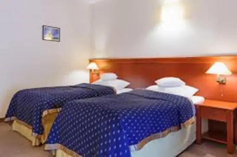 Standard Double room (twin beds)