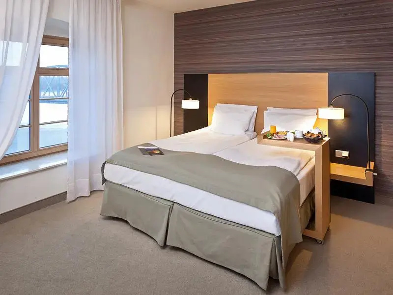 Standard Double room (full double bed)