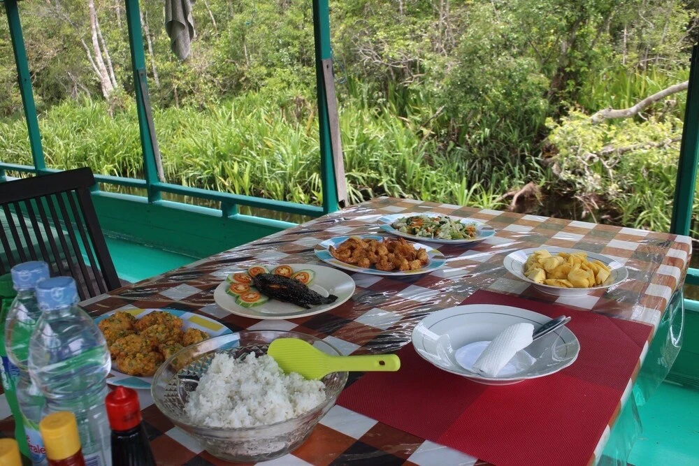 Arut Riverside Orangutan Guest house