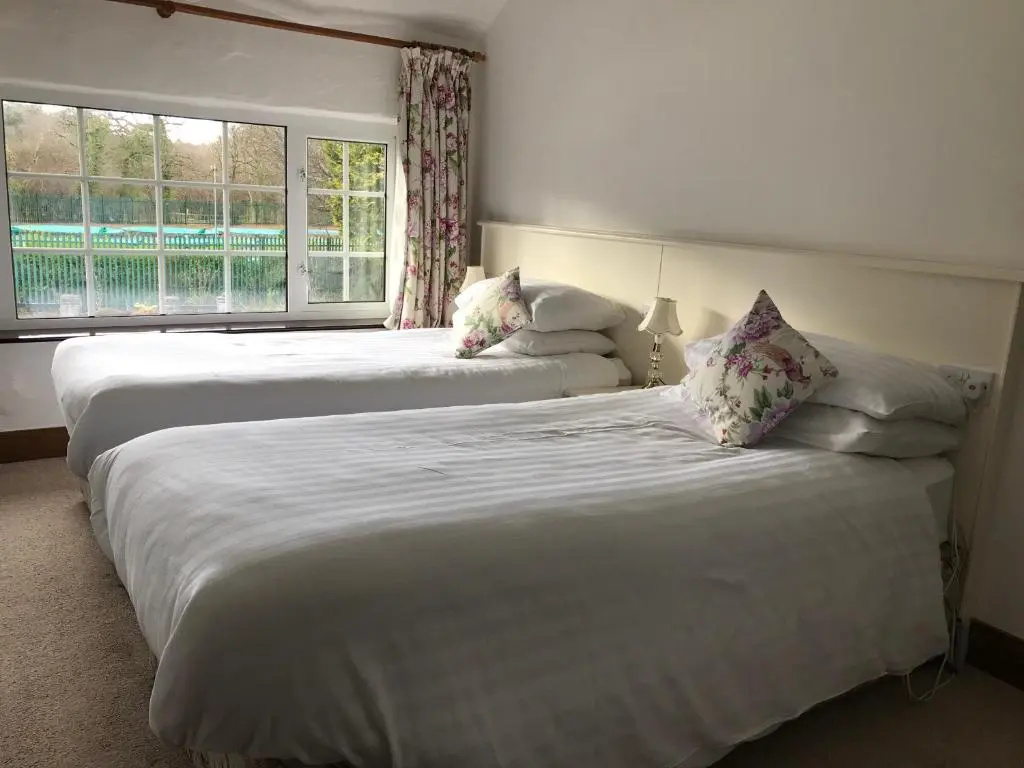 Standard Double room (twin beds)