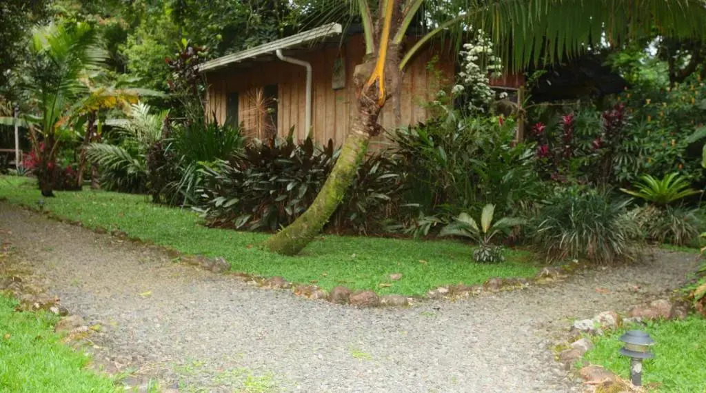 Casa Rio Blanco Eco Friendly B&B - фото 13