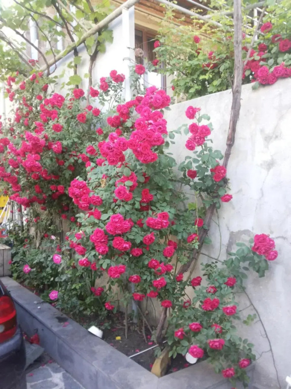 Svetlana Guest House - фото 14