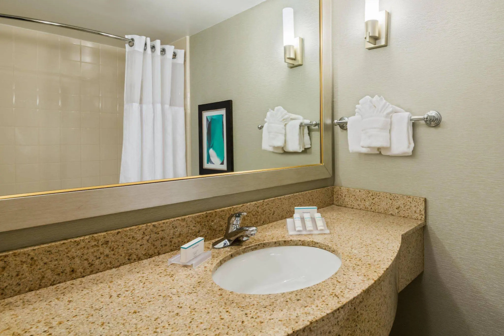Hilton Garden Inn Orlando International Drive North - Général