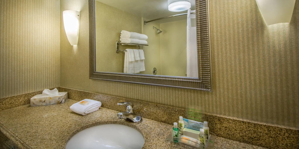 Holiday Inn Arlington at Ballston - Général