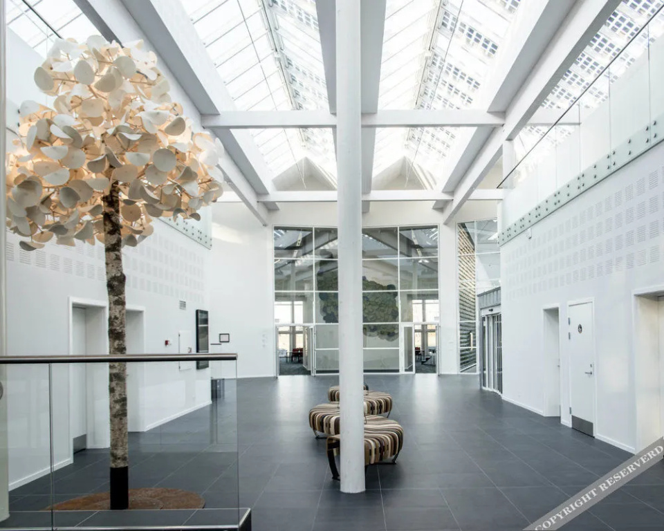 Lobby & Reception