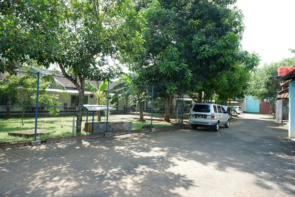 image url