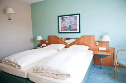 Hotel Saarpark - Général