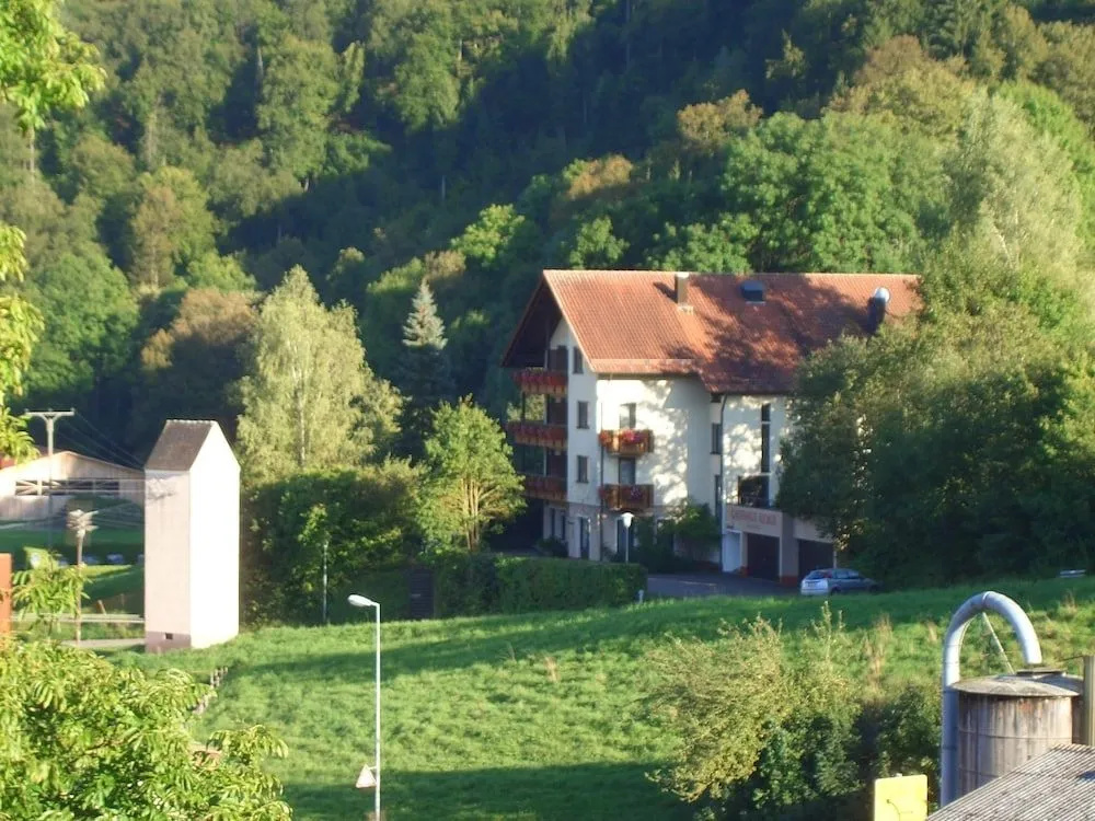 Flair Hotel Gasthof zum Hirsch - Général