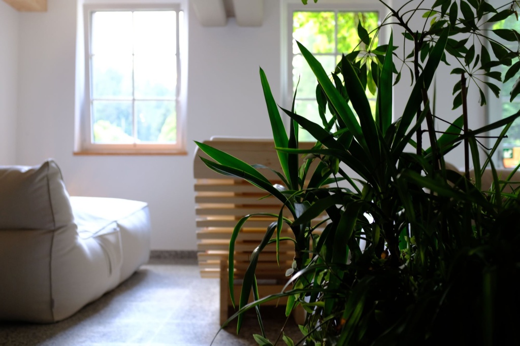Parkhotel Sole Paradiso - Général