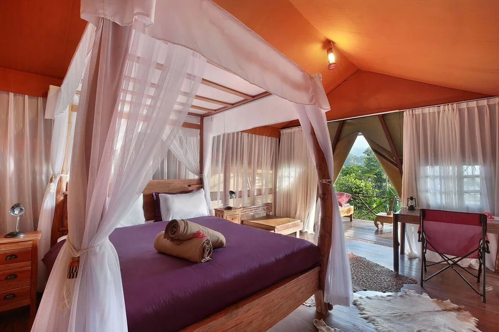 Spa & Wellness