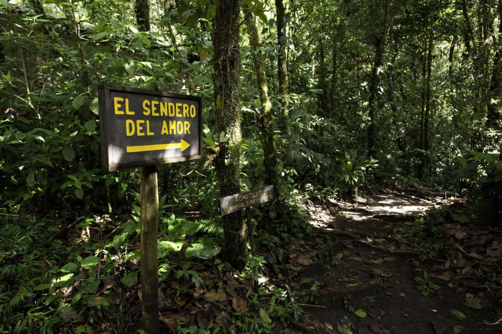 Wagelia Espino Blanco Lodge - Général