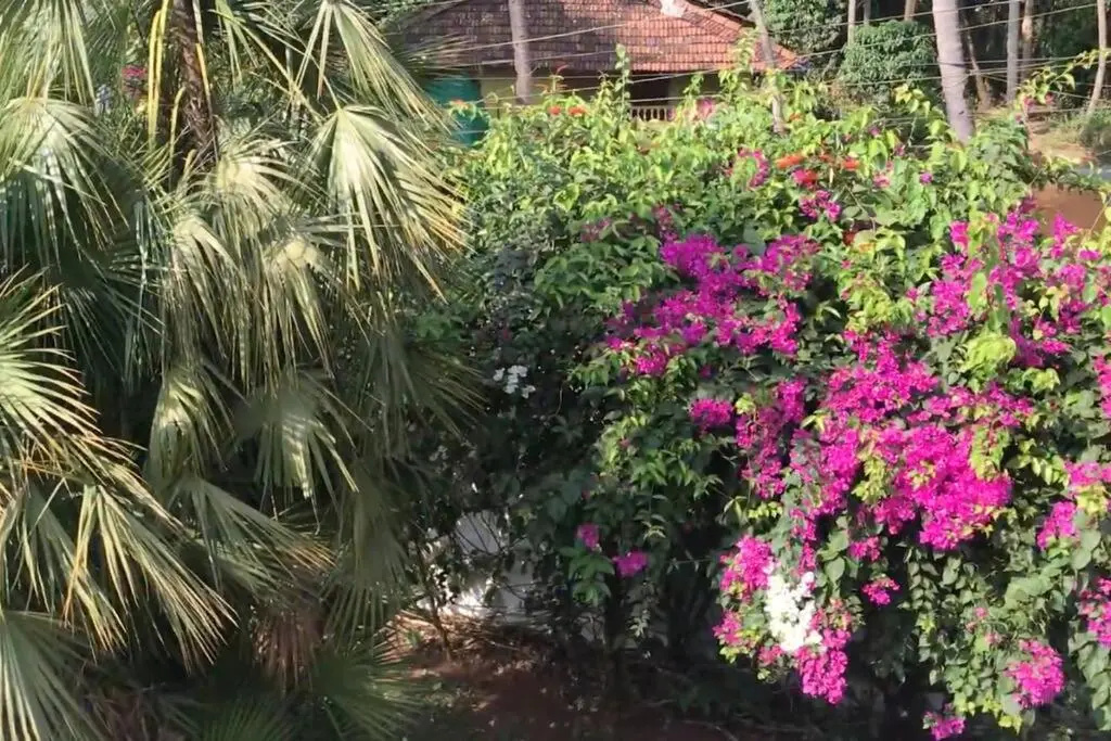 2BHK Pool Facing Beachside Luxury Homestay In South Goa