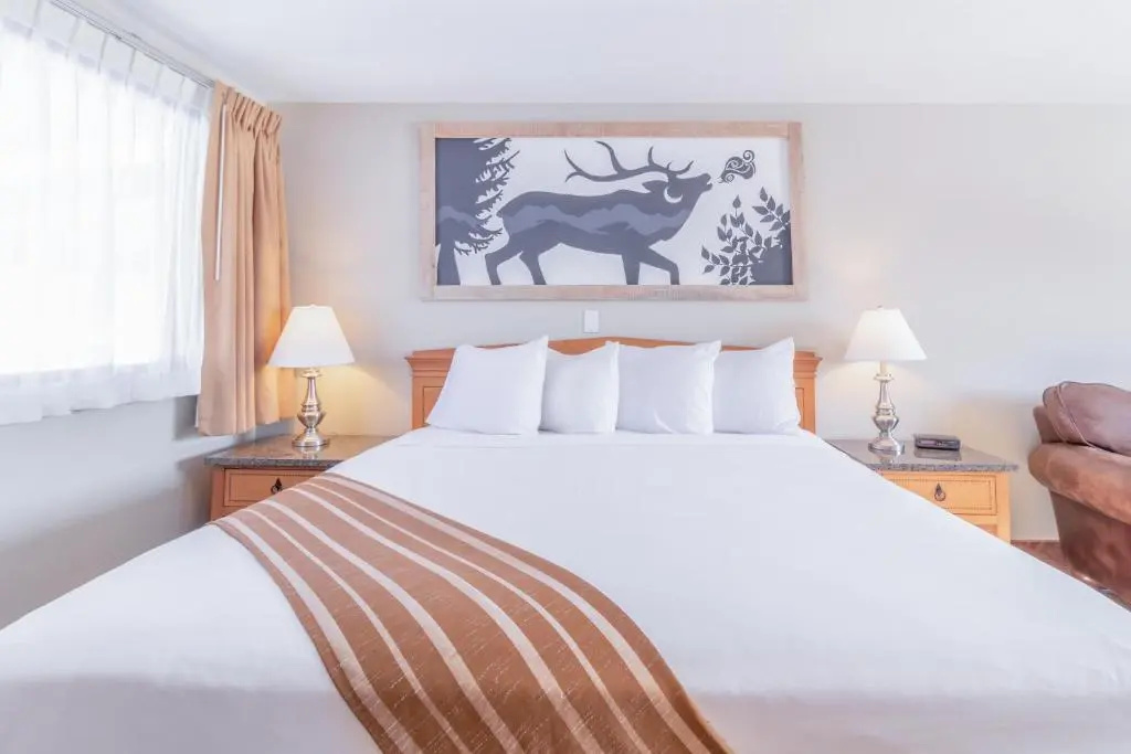 Murphy's Resort - Chambres
