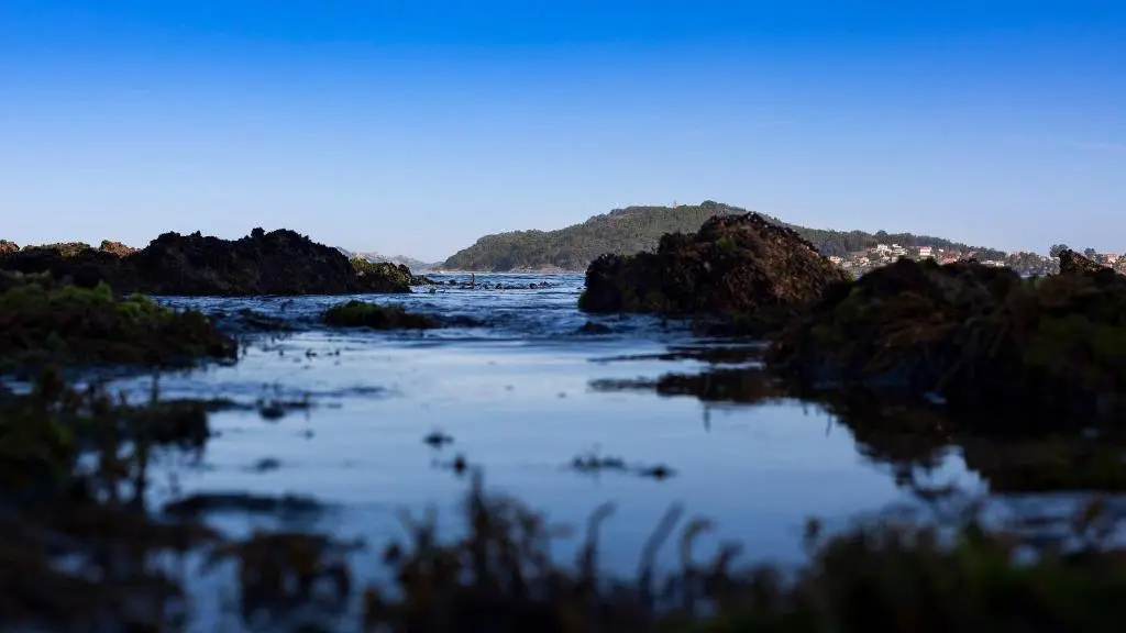 Beach & Waterfront