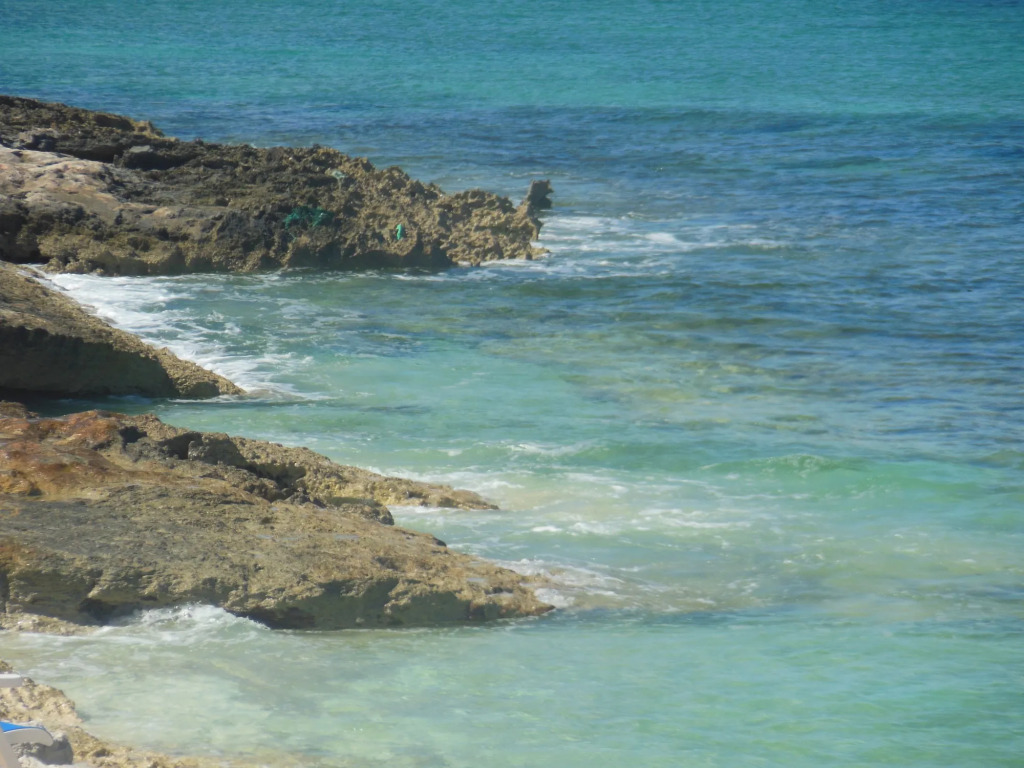 Winter Haven - фото 10