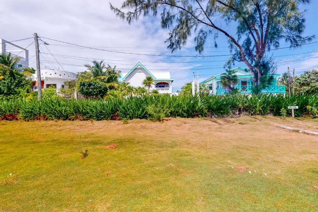 Almond Tree 3 at Island Cabanas Gold Standard Certified