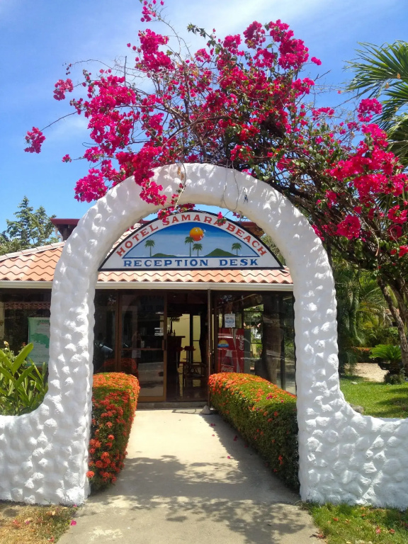 Hotel photo 30