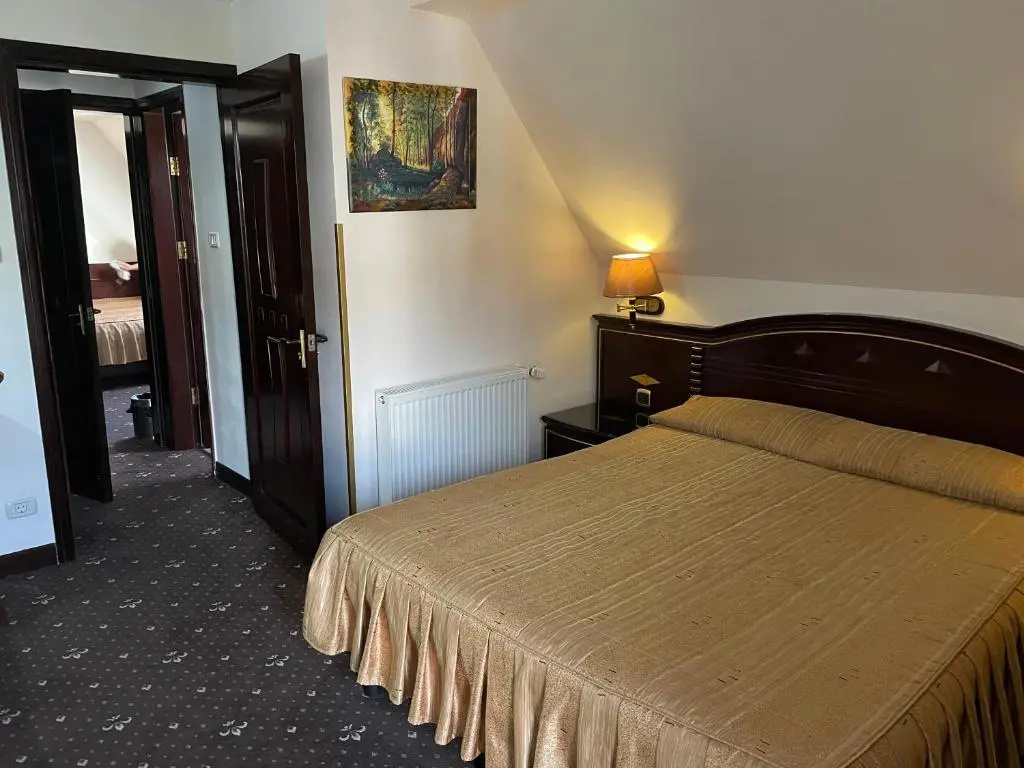 Hotel Arca Lui Noe - Chambres