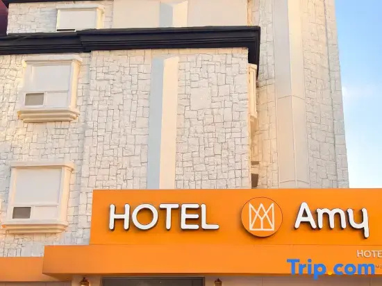 Hotel Amy