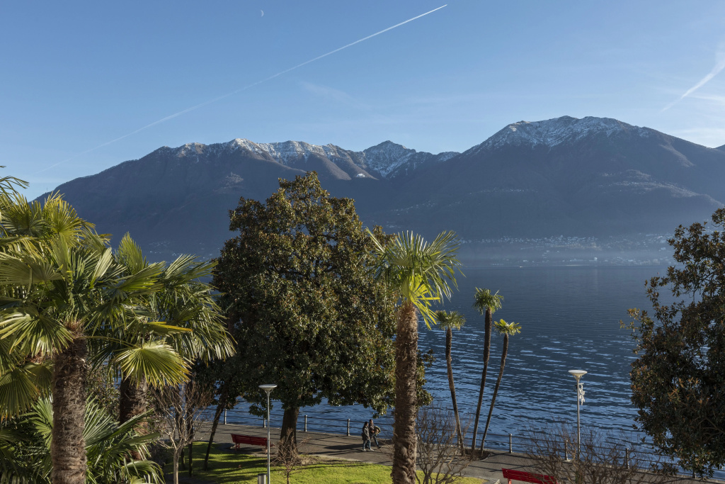 La Palma au Lac - Général