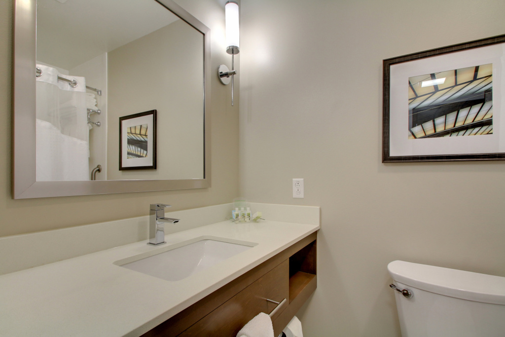 Holiday Inn & Suites Peoria At Grand Prairie by IHG - Général