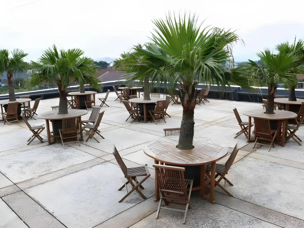 Hotel photo 30