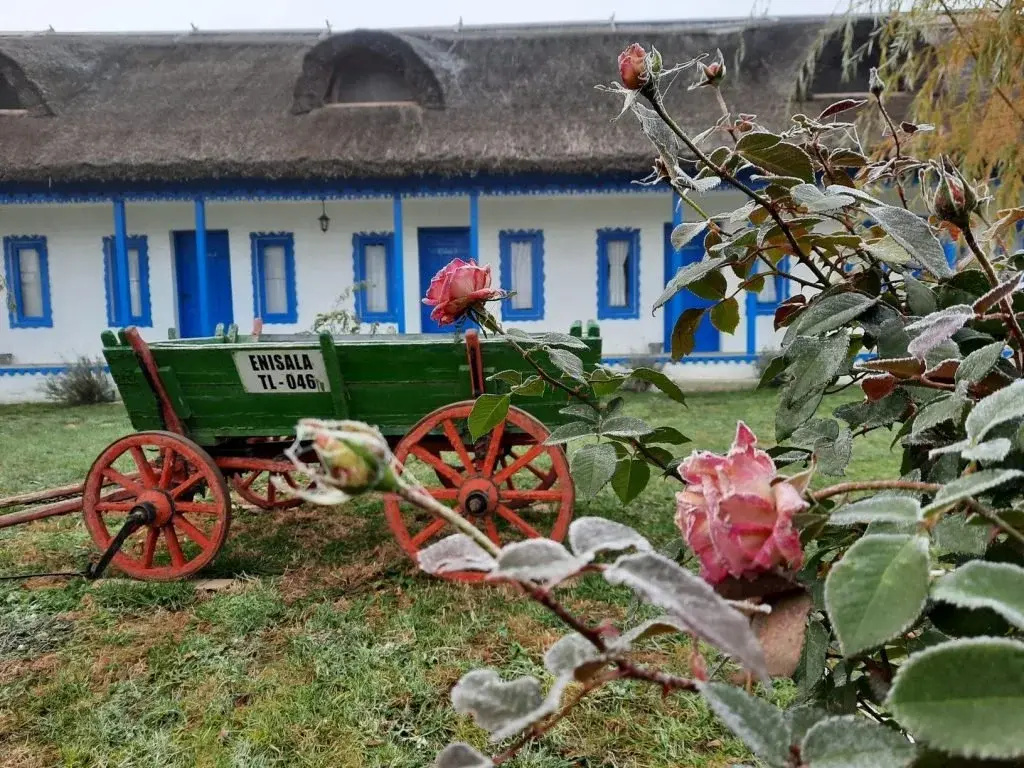 Suvenir de Dobrogea
