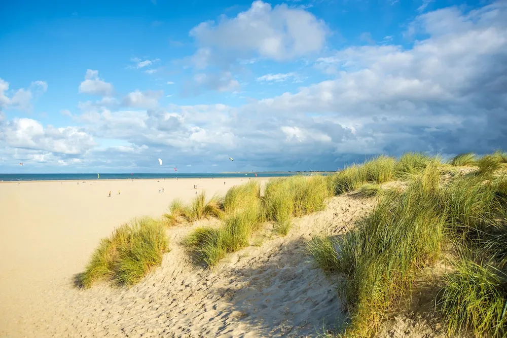 Beach & Waterfront