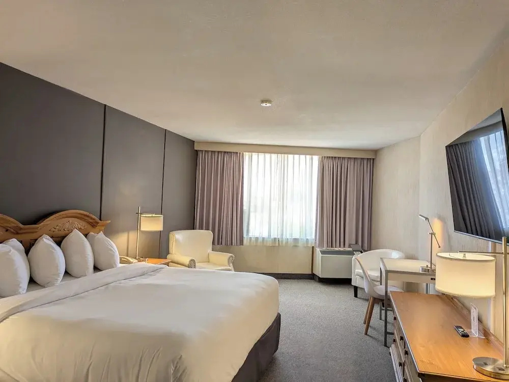 Standard Double room with city view (full double bed)