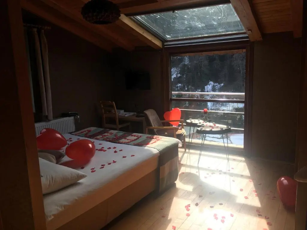 Standard Double room with mountain view (full double bed)