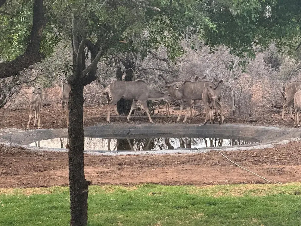 Umoya Safari Lodge