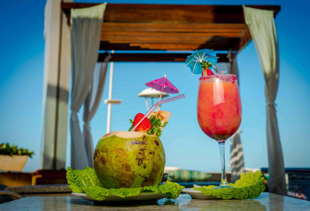 Monte Pascoal Praia Hotel - Général