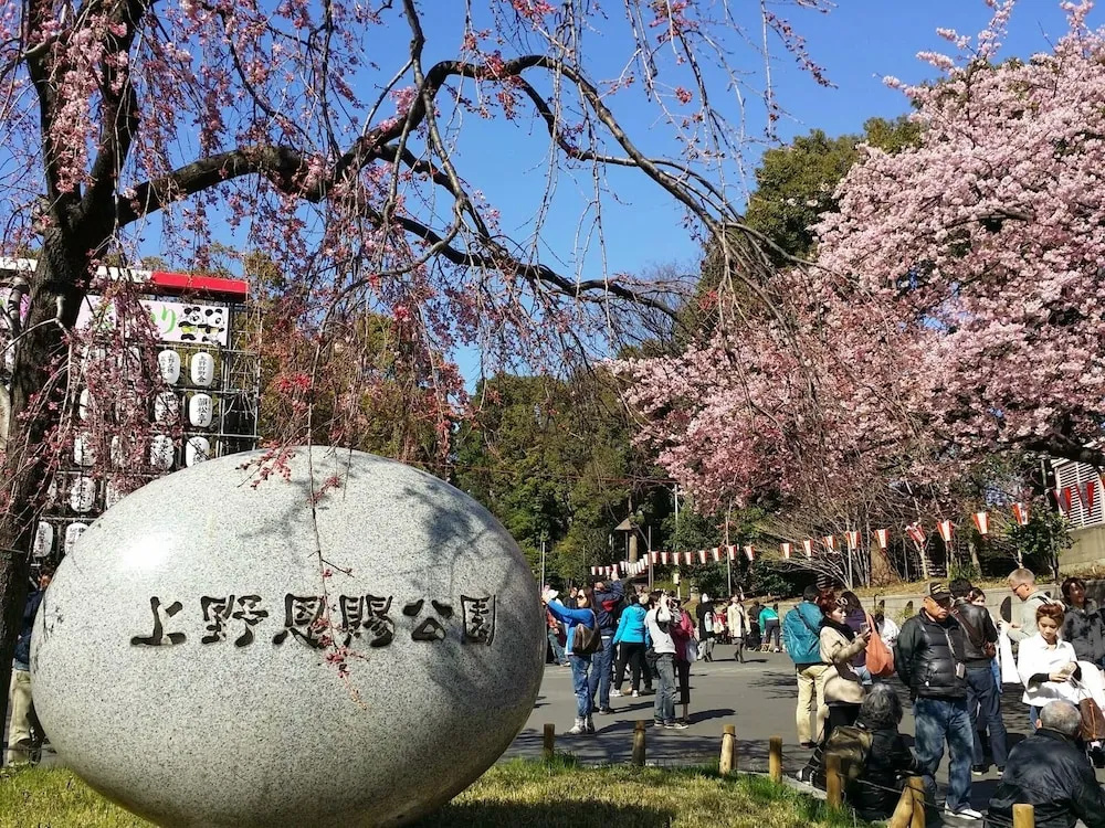 Rainbow Village Ueno 사진 15