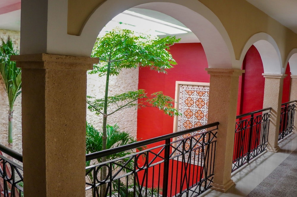 Balcony & Terrace