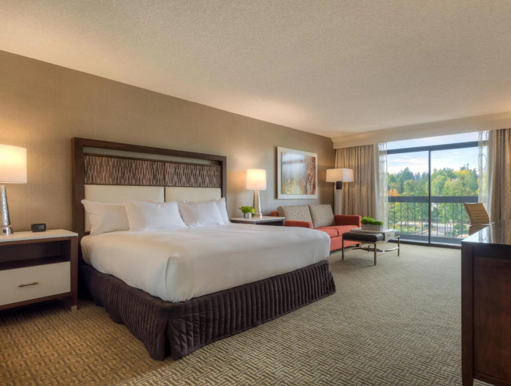 Standard Double room (full double bed)