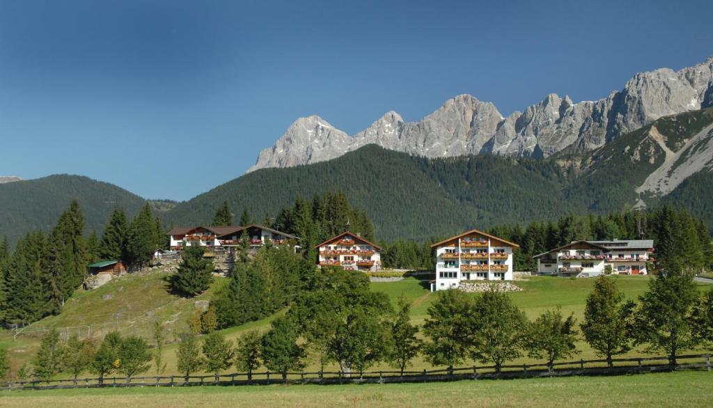 Image 14