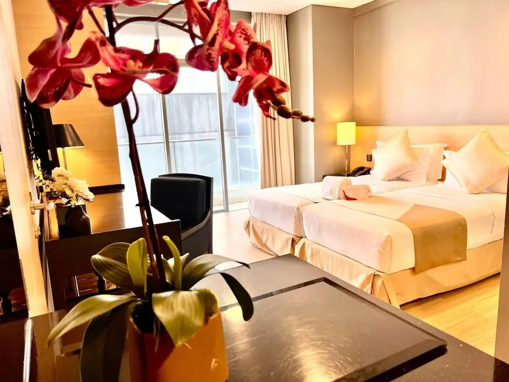 Deluxe Double room with city view (twin beds)
