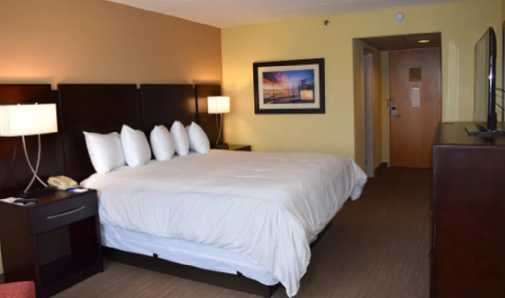 1 Bedroom Suite