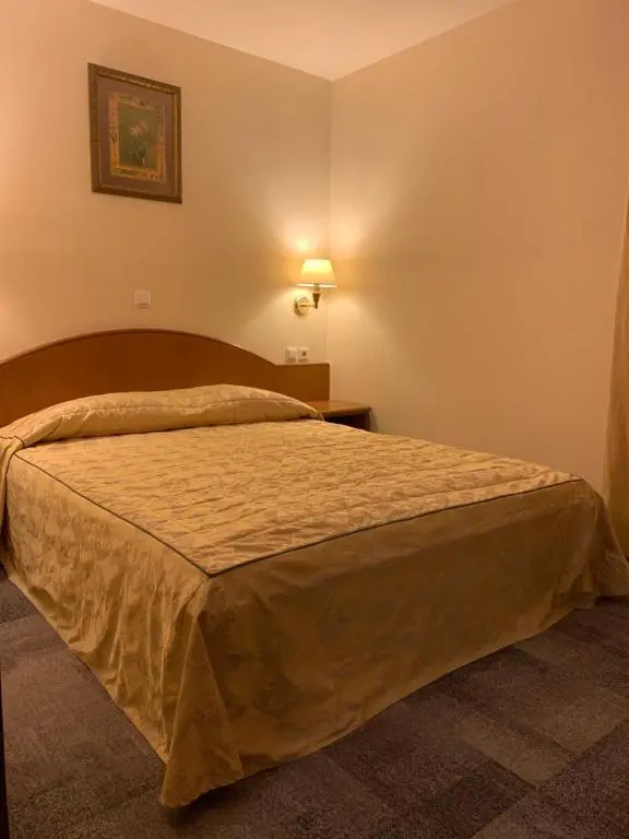 Hotel Mantova - Chambres