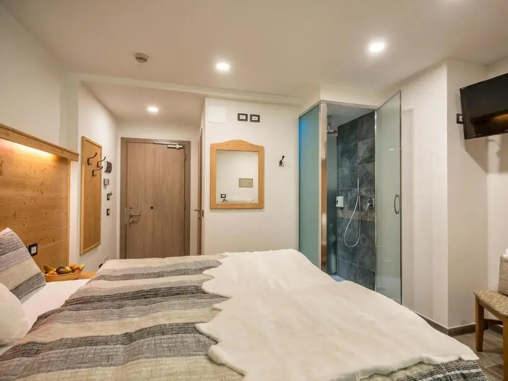 Superior Double room (full double bed)